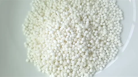 Raw Sago inside white color ceramic bowl. Video stock 159442413