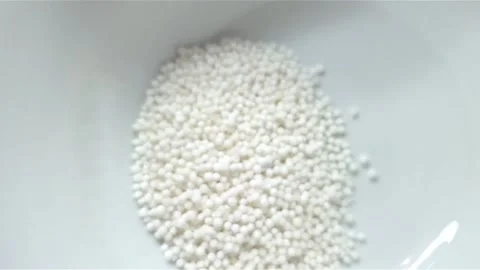 Raw Sago inside white color ceramic bowl. Video stock 159442434