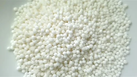 Raw Sago inside white color ceramic bowl. Video stock 159442441