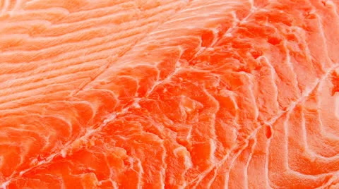 Raw salmon fillet Vídeos de archivo 24268028