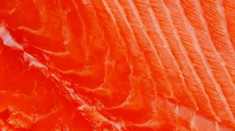 Raw salmon fillet Vídeos de archivo 26109493
