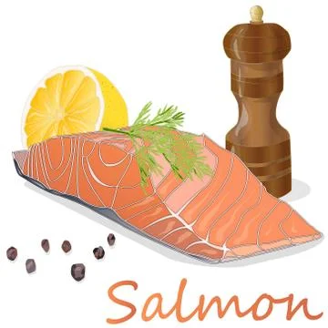 Raw salmon fillets with herbs on white background. Vector illustration Stock Illustration
