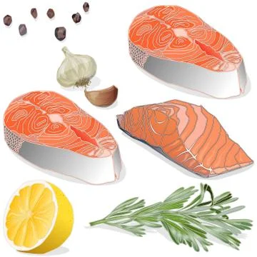 Raw salmon fillets with herbs on white background. Vector illustration Stock Illustration