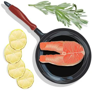 Raw salmon fillets on the pan with herbs. White background. Vector illustrati Stock Illustration