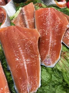 Raw salmon fish Stock Photos