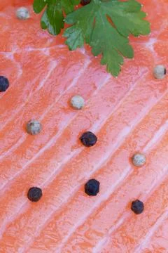 Raw salmon Stock Photos