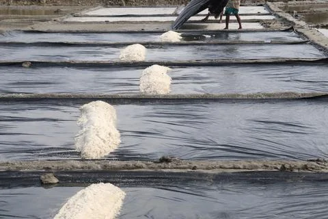 Raw salt farm on plot with polythene bed Foto stock