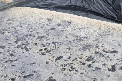 Raw salt farm plot with water and polythene bed Stock-Fotos