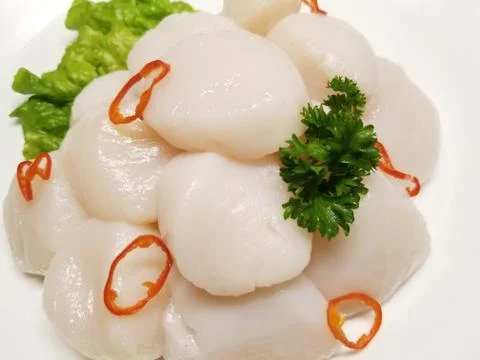 Raw Scallops (1) Stock Photos