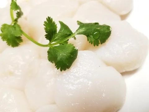 Raw Scallops (2) Stock Photos