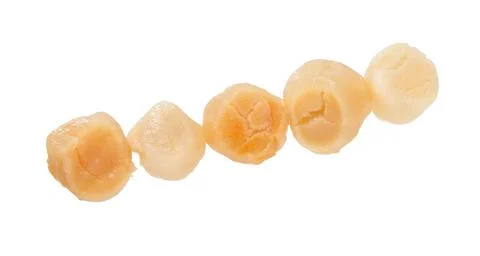 Raw Scallops isolated on white. Stock Photos