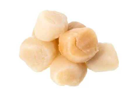 Raw Scallops isolated on white. Foto stock