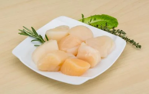 Raw scallops Stock Photos