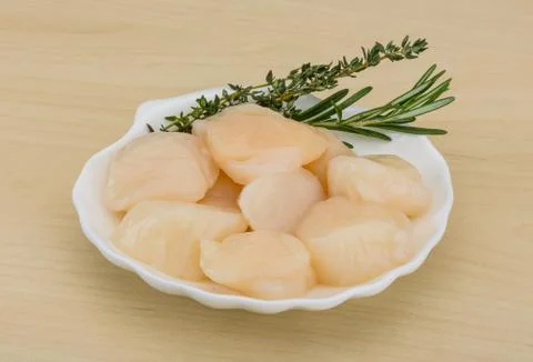 Raw scallops Stock Photos