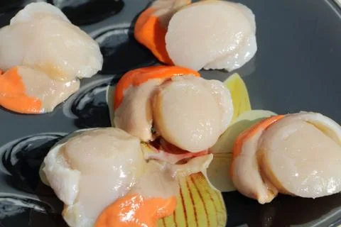 Raw scallops on a plate Stock Photos