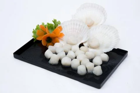 Raw scallops ready for cooking. Stock Photos
