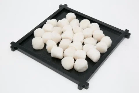 Raw scallops ready for cooking. Stock Photos