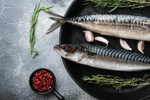 Raw scomber fish with ingredients on grey background, flat lay Stock Photos