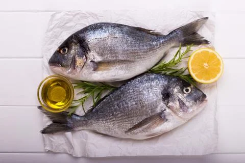 Raw sea bream fish Stock Photos