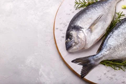Raw sea bream fish Stock Photos