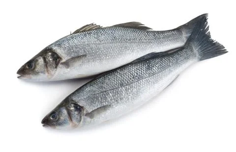 Raw seabass Stock Photos