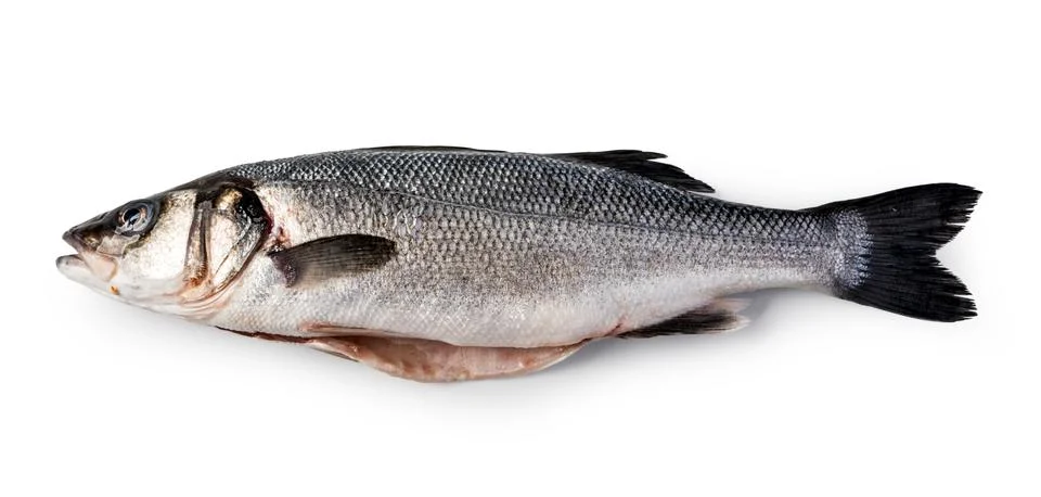 Raw Seabass Stock Photos