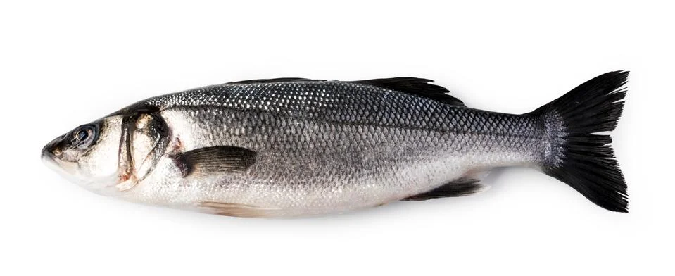 Raw Seabass Stock Photos