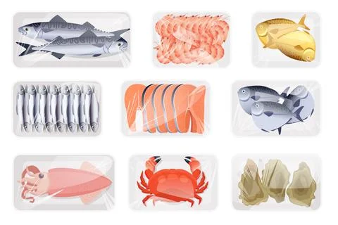 Raw seafood in plastic containers set, top view of cold fresh fish and sea Stock Illustration