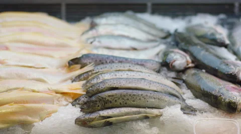 Raw seafood row in a shop Stock Footage 63838136