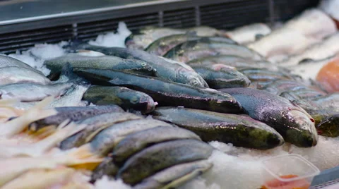 Raw seafood row in a shop Stock Footage 63838404