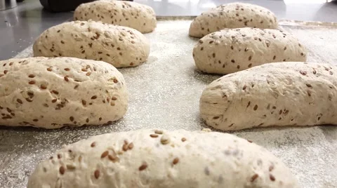 Raw seed breads on a baking plate, at a bakery Stock Footage 62591732