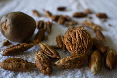 Raw Seeds Background Stock Photos
