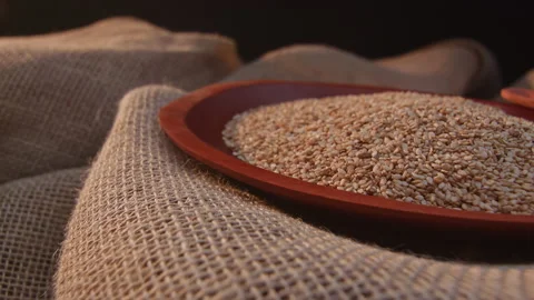 Raw sesame in a container Stockbeeldmateriaal 131473899