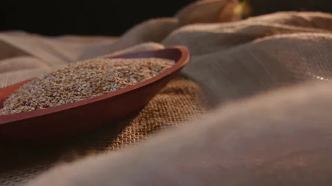 Raw sesame in a container Stock-Footage 131473919
