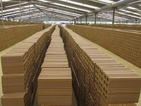 The raw shape of the bricks from wet clay and water are kept for drying Foto stock