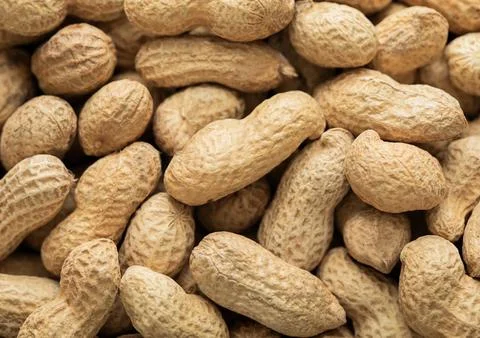 Raw shell peanut nuts top view macro background. Stock Photos