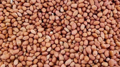 Raw, Shelled Peanuts Video stock 320146192