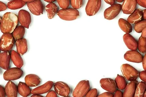 Raw shelled peanuts Stock Photos