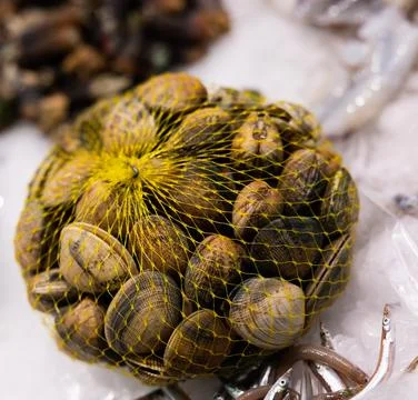 Raw shellfish in a net at fish market - freshly caught shellfish Stock Photos