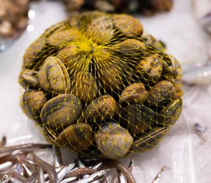Raw shellfish in a net at fish market - freshly caught shellfish Stock Photos