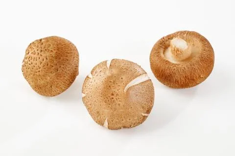 Raw shiitake Stock Photos