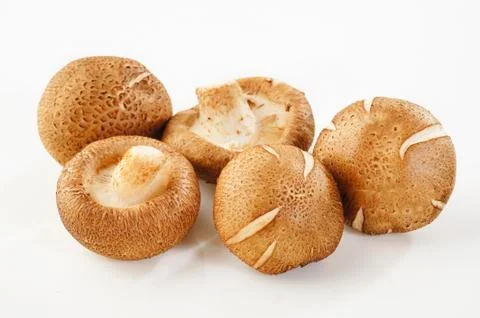 Raw shiitake on white background Stock Photos