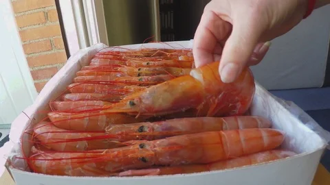Raw Shrimp On Display Before Cooking Video stock 90122402