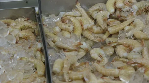 Raw shrimp on ice Stock Footage 104880881