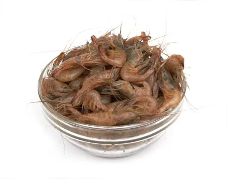 Raw shrimp isolated Stock Photos