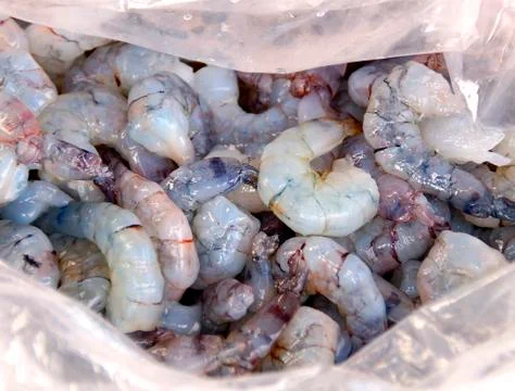 Raw shrimp Stock Photos