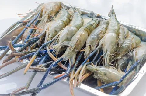 Raw shrimp 스톡 사진