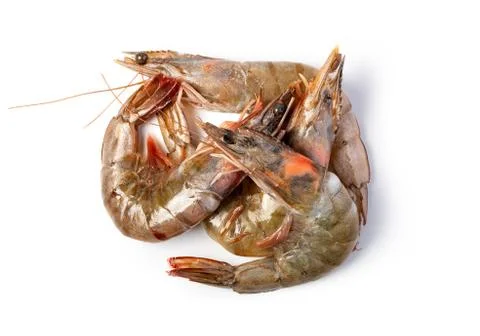 Raw shrimp Stock Photos
