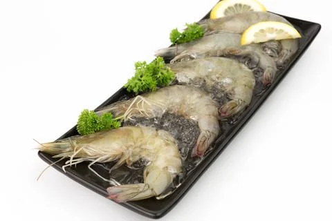 Raw shrimp Stock Photos
