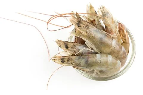 Raw shrimp Stock Photos